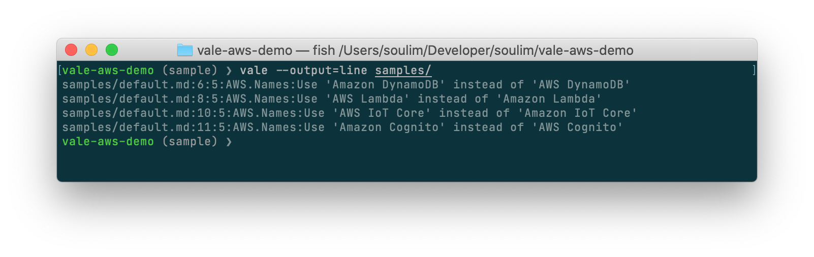 Screenshot: AWS Vale demo output